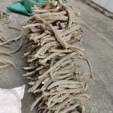 优质续断有大量货源欢迎骚扰