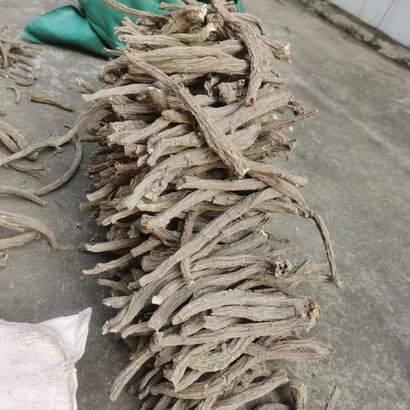 优质续断有大量货源欢迎骚扰