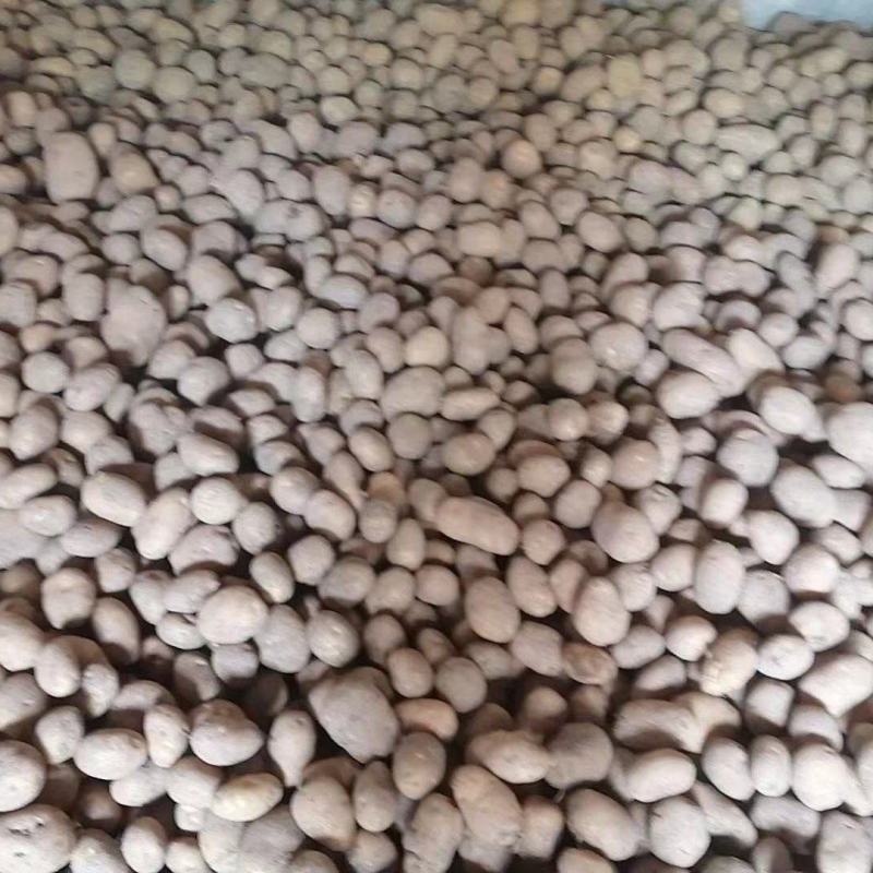 恩施土豆马尔科