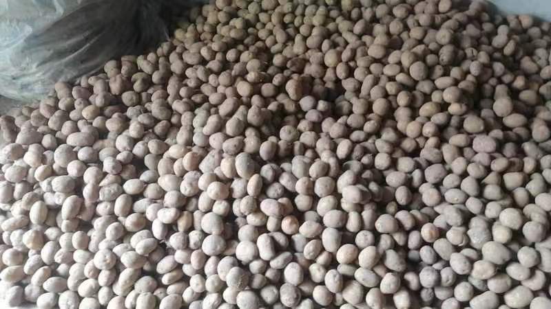 恩施土豆马尔科