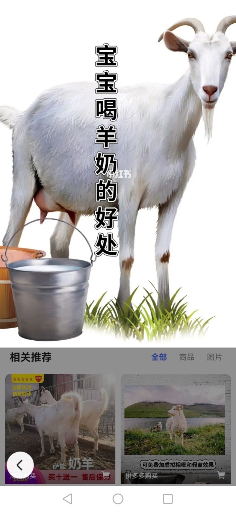 纯羊奶