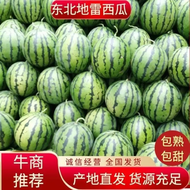 吉林黑水西瓜双红金城5，大安西瓜产地直发，代发全国