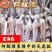 阿鱿二本足鱿鱼须批发冷冻无冰一整箱章鱼足鱿鱼须铁板鱿鱼须
