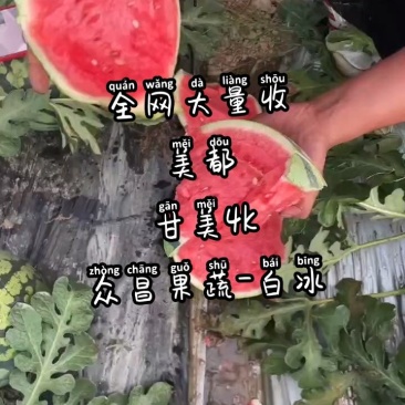 甘美4k，产地直供，一手货源，对接各大市场，商超，社区团