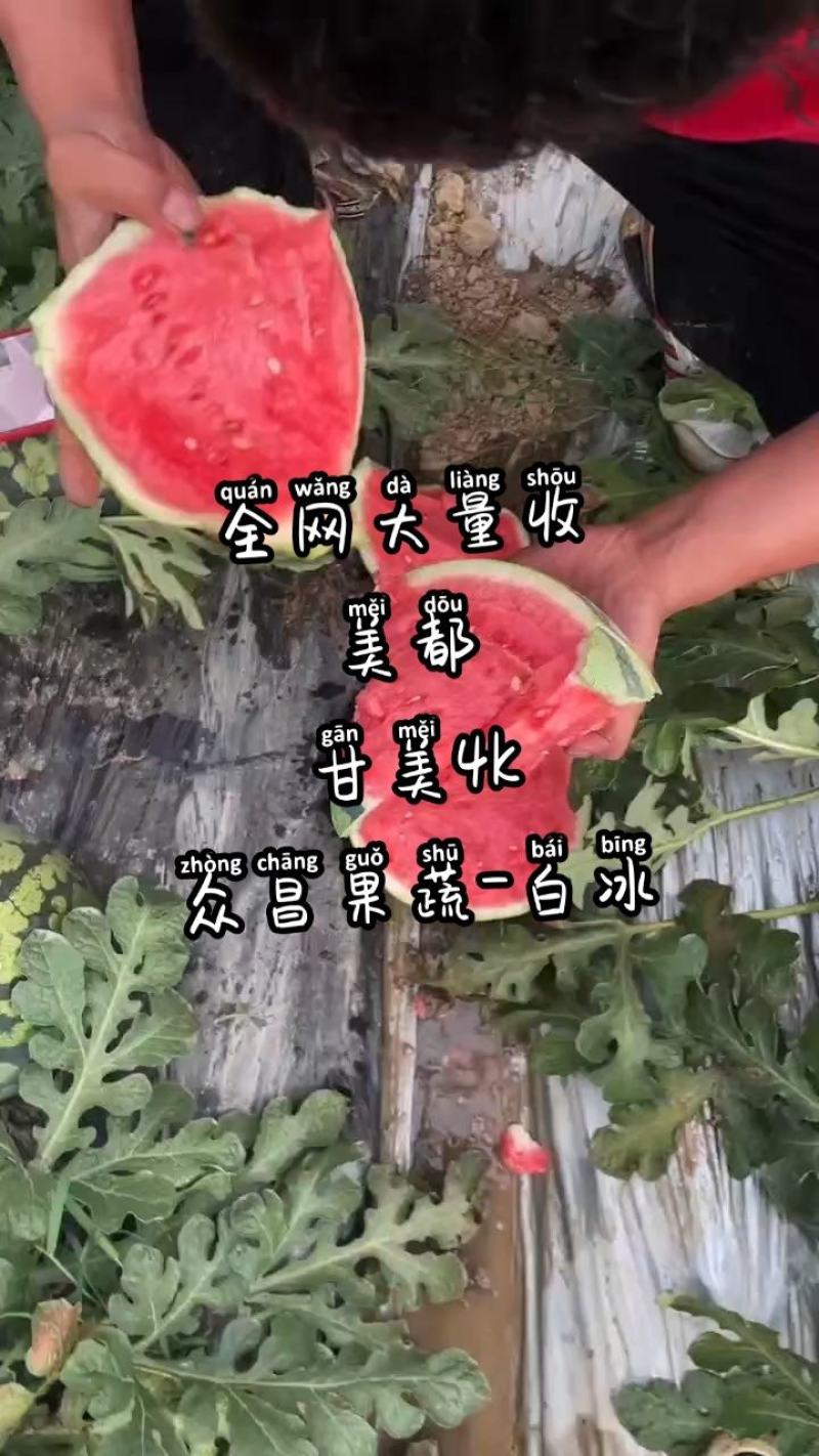 甘美4k，产地直供，一手货源，对接各大市场，商超，社区团