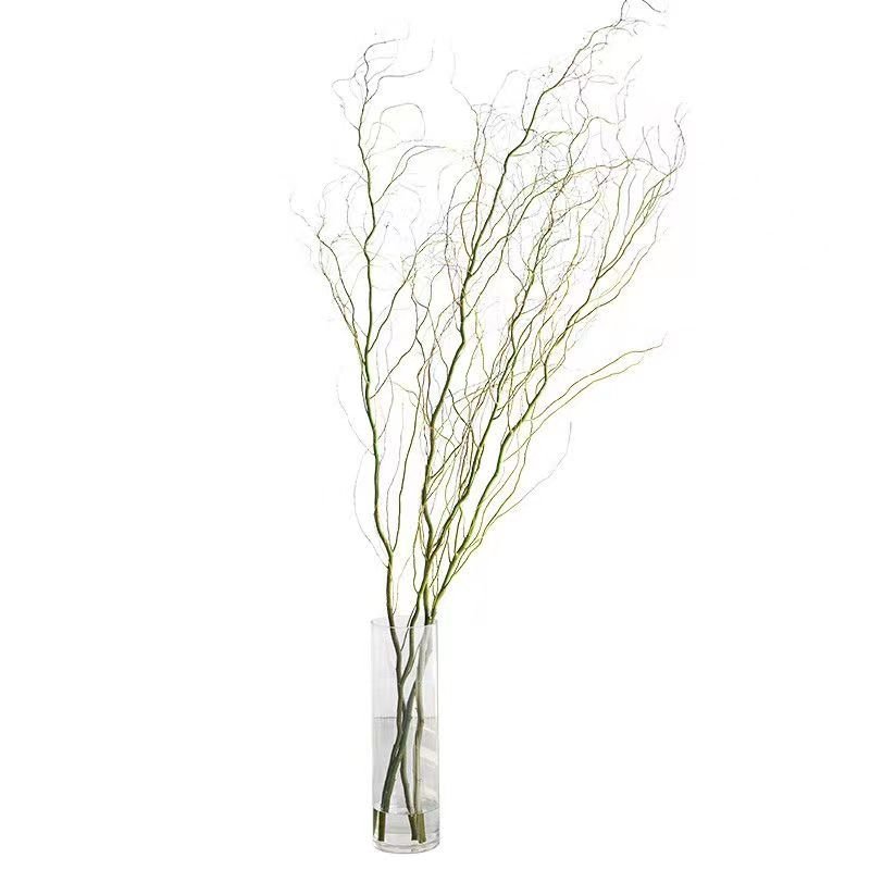 龙柳鲜枝插花客厅落地插水植物易活观叶水培长根家居装饰