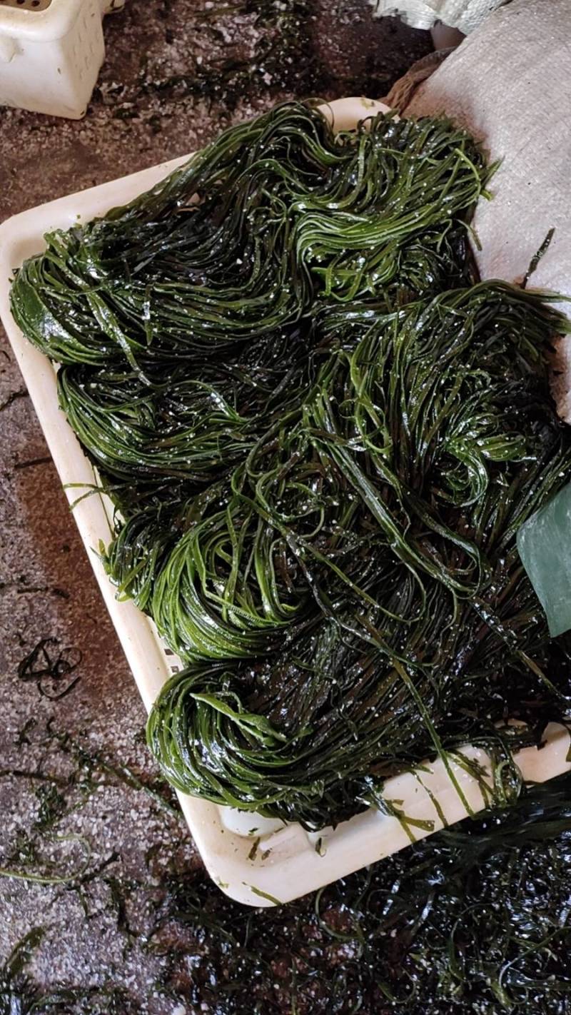 山东威海本地腌渍海带丝，质量保证，一手货源，量大价优。