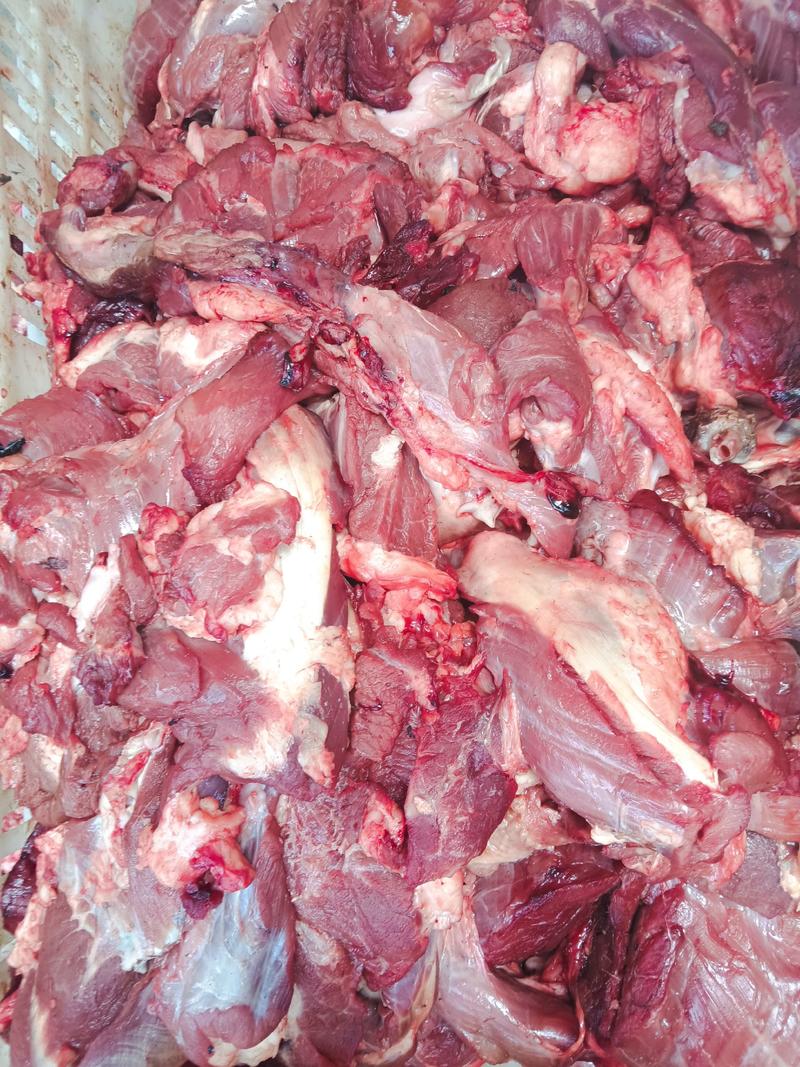 精品清真牛副产品-牛碎肉工厂直供大量批发