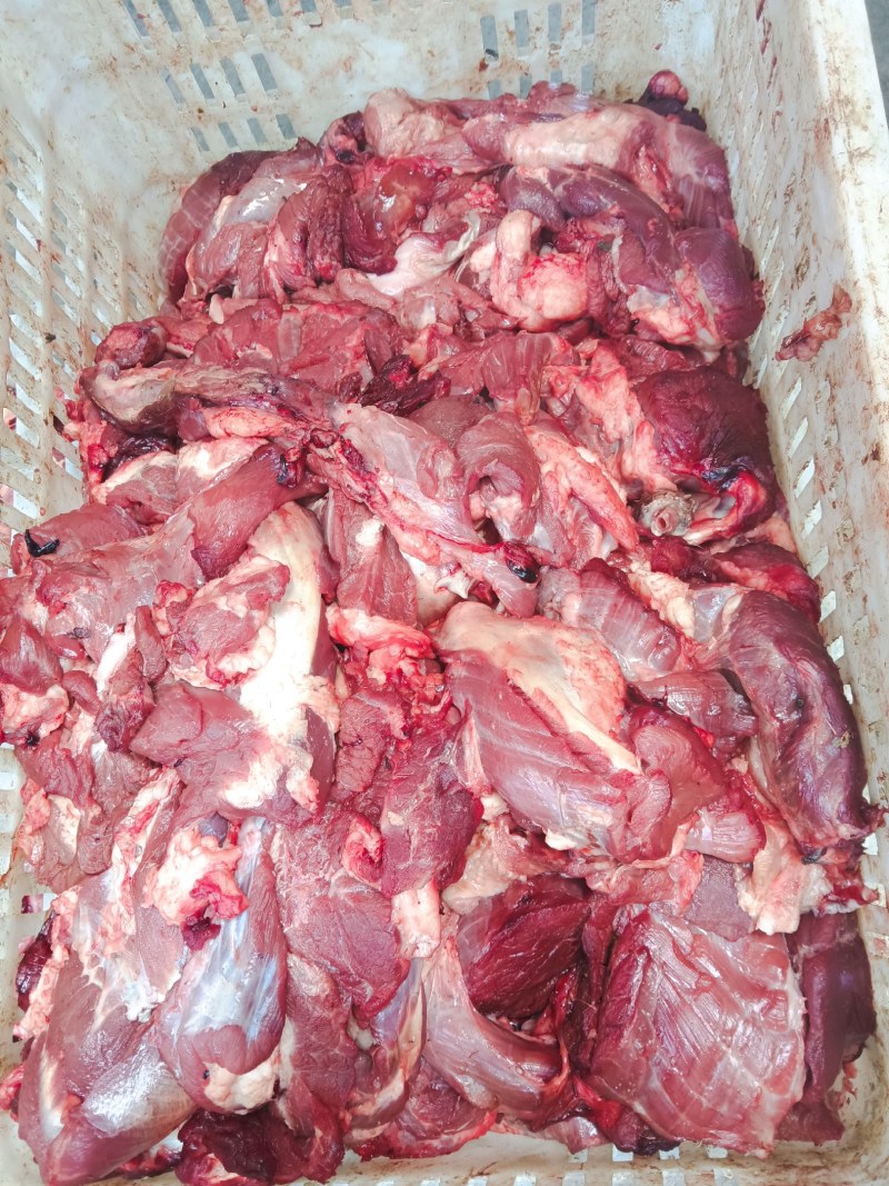 精品清真牛副产品-牛碎肉工厂直供大量批发