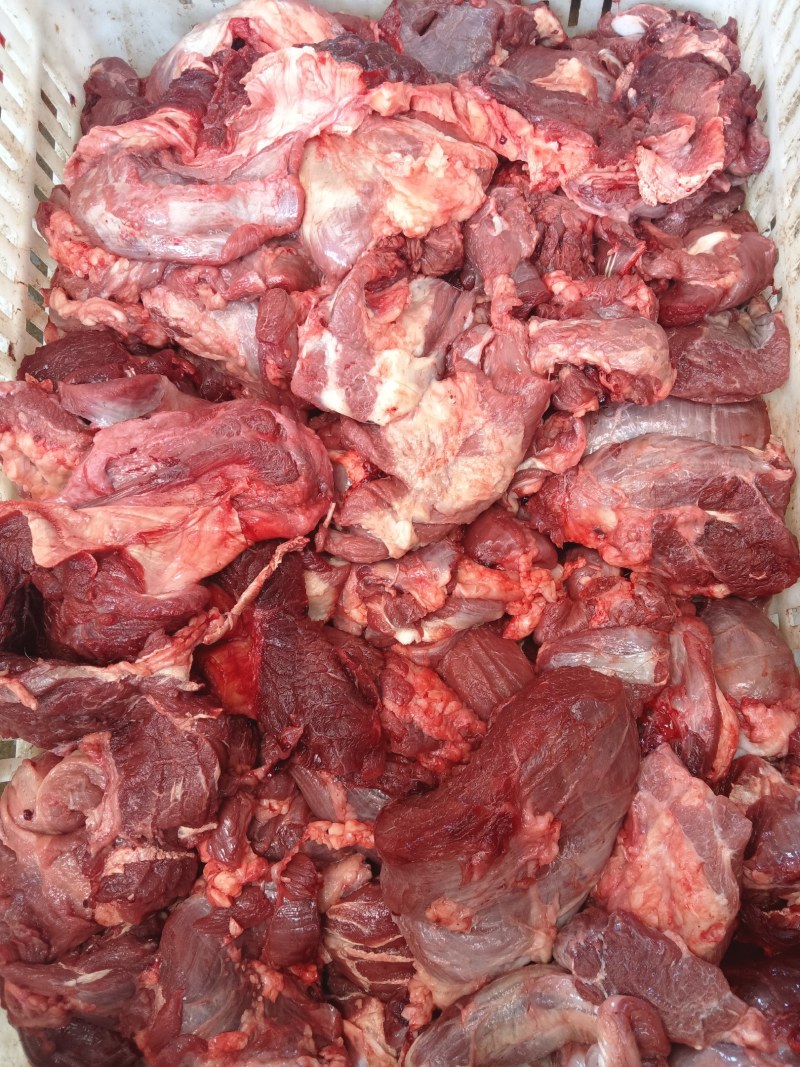 精品清真牛副产品-牛碎肉工厂直供大量批发