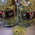 中药材野生化石草