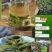 中药材野生化石草