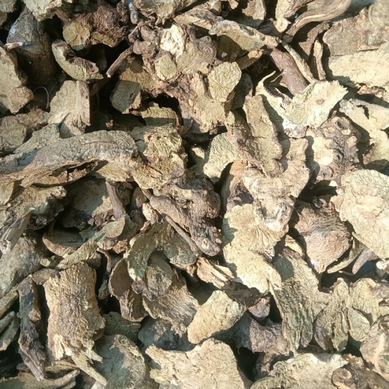 野生香茶菜根铁菱角冷背药材铁凌角蛇总管