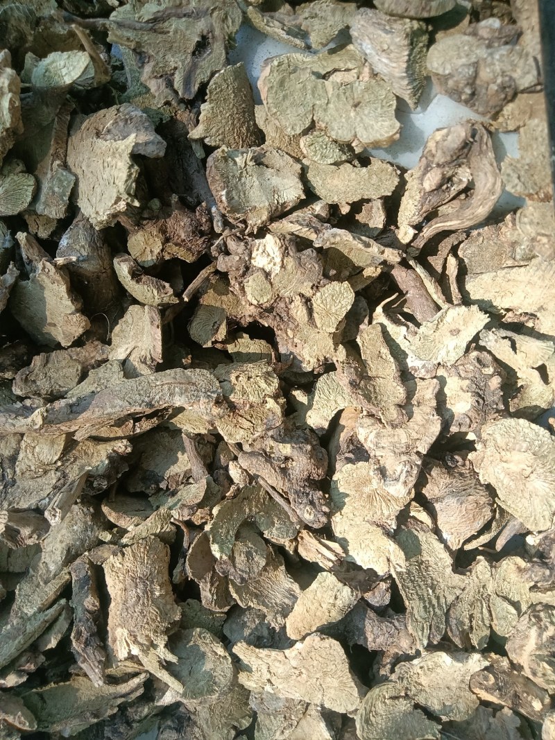 野生香茶菜根铁菱角冷背药材铁凌角蛇总管