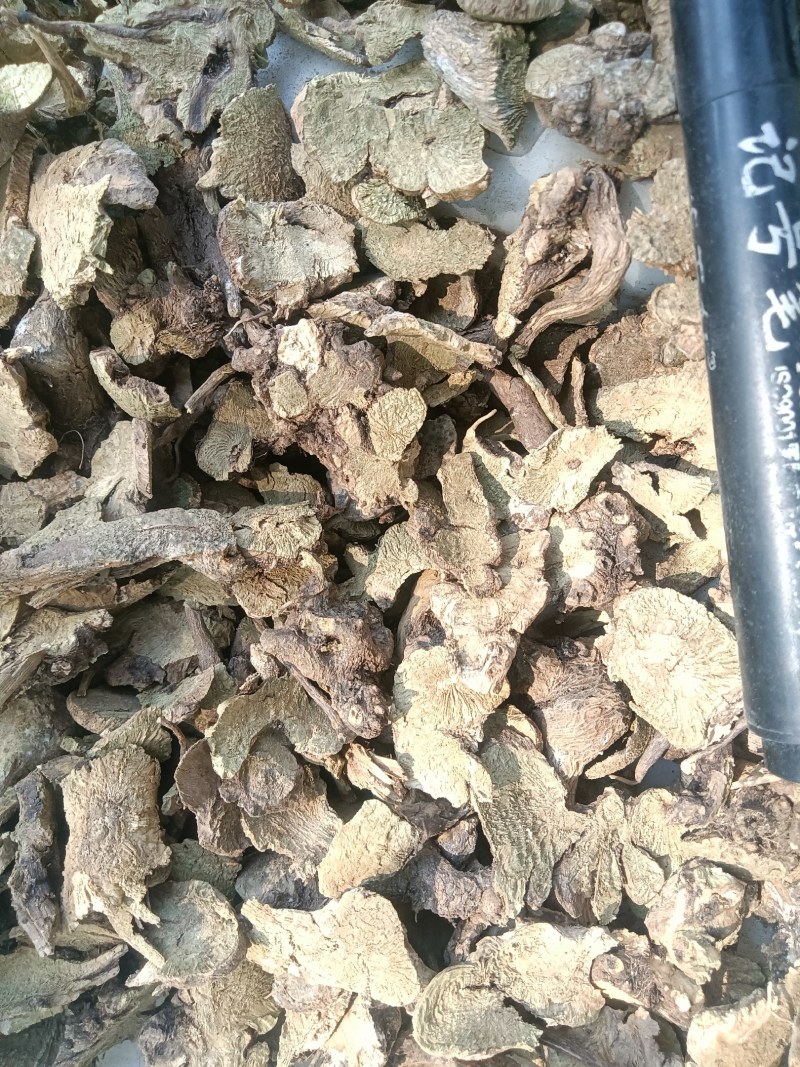 野生香茶菜根铁菱角冷背药材铁凌角蛇总管