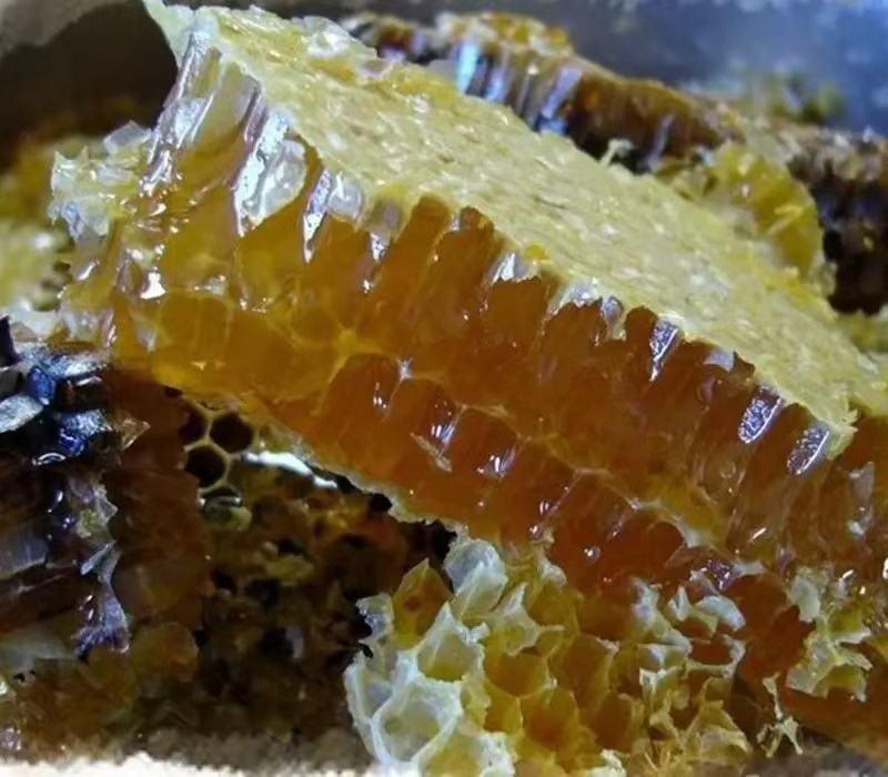 深山老林土蜂蜜，纯野生