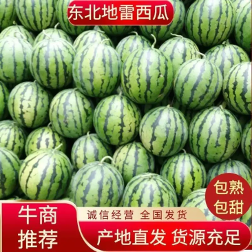 【实力】吉林长岭西瓜大量上市，京欣西瓜代发全国