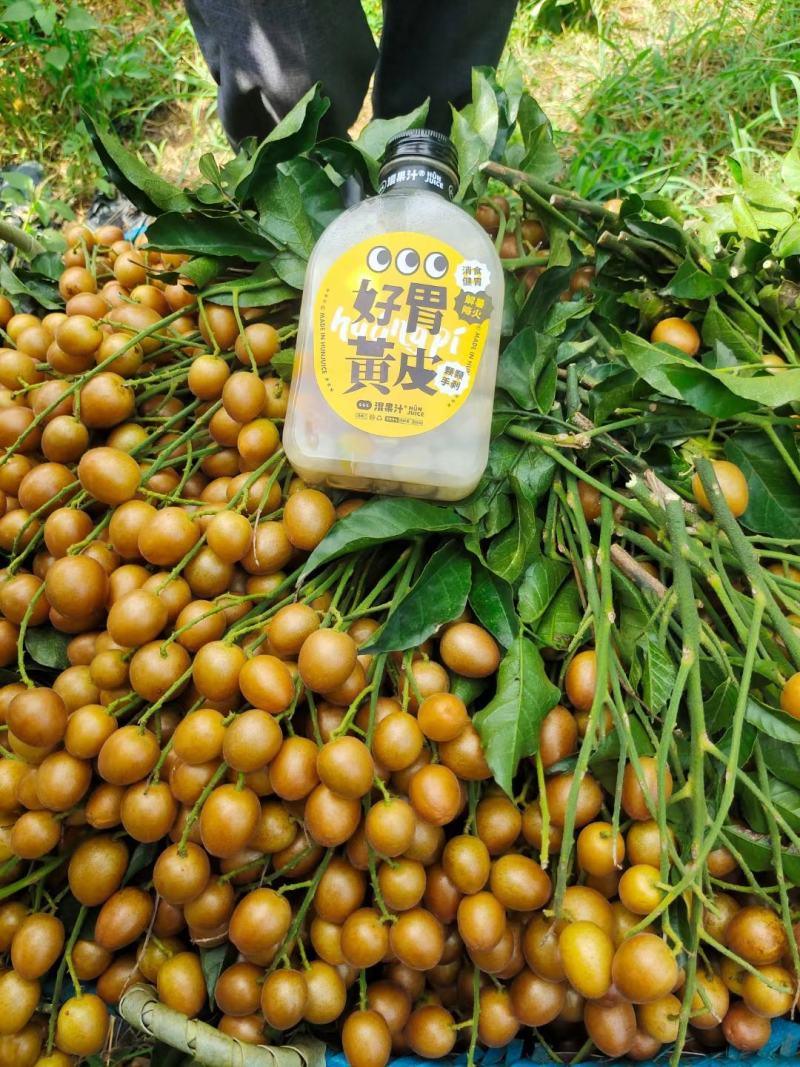 鸡心黄皮果当季新鲜无核黄皮香蜜黑黄皮产地直供现摘现发