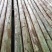 削皮长度：4m.4.2m.4.5m.尾径8cm.10cm
