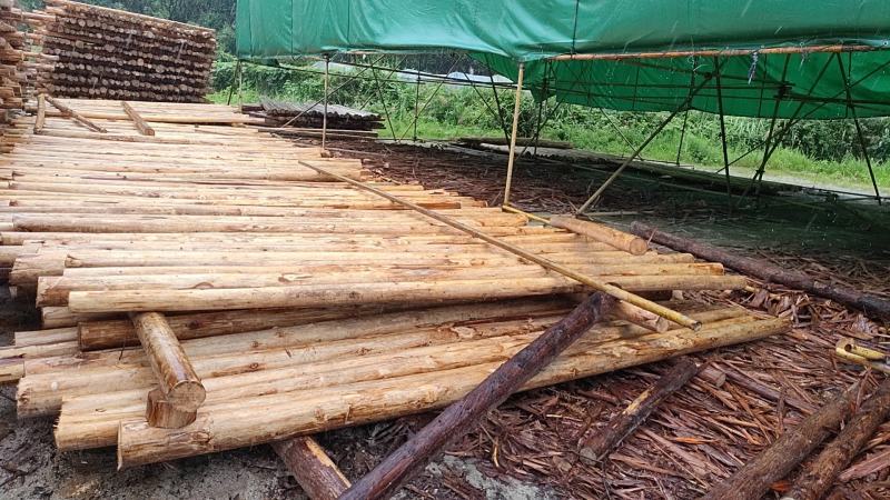 削皮长度：4m.4.2m.4.5m.尾径8cm.10cm