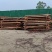 削皮长度：4m.4.2m.4.5m.尾径8cm.10cm