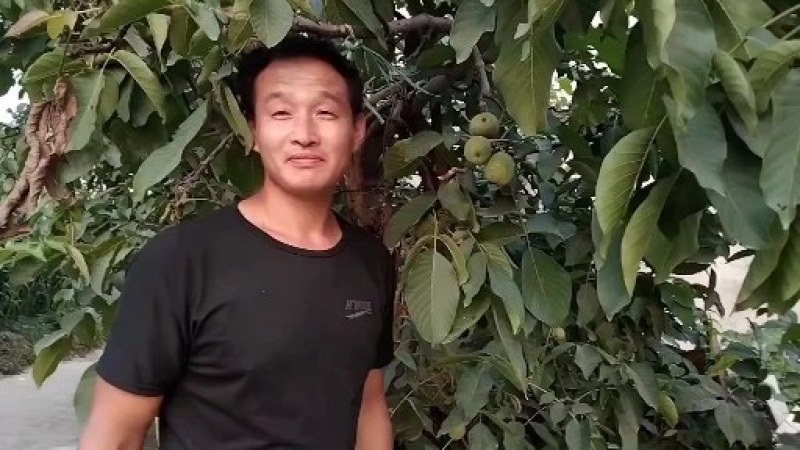 太行山板栗，23年添加新设备往新老顾客回购，