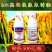 10%高效氯氟氰菊酯功夫杀虫剂菜青虫地老虎