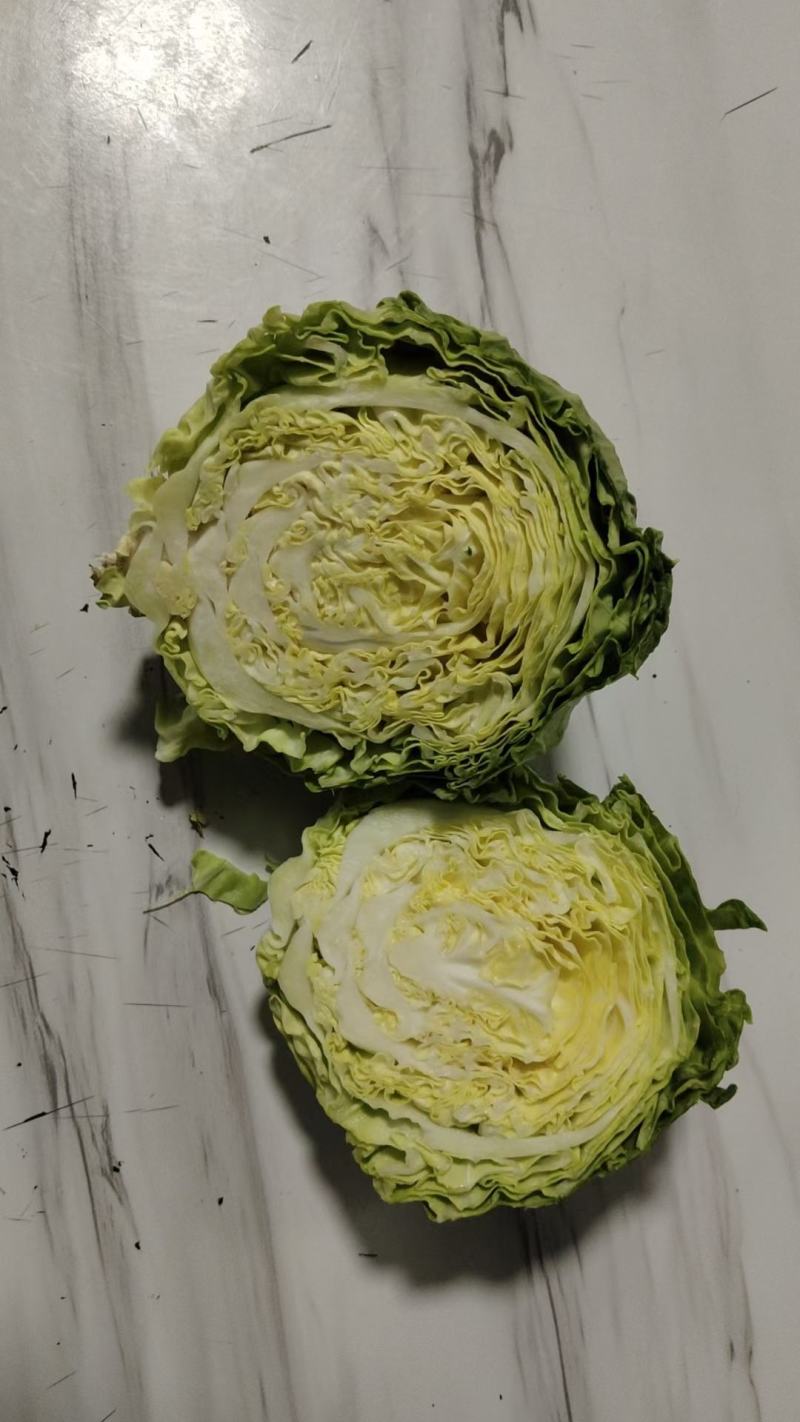 百亩脆皮甘蓝上市