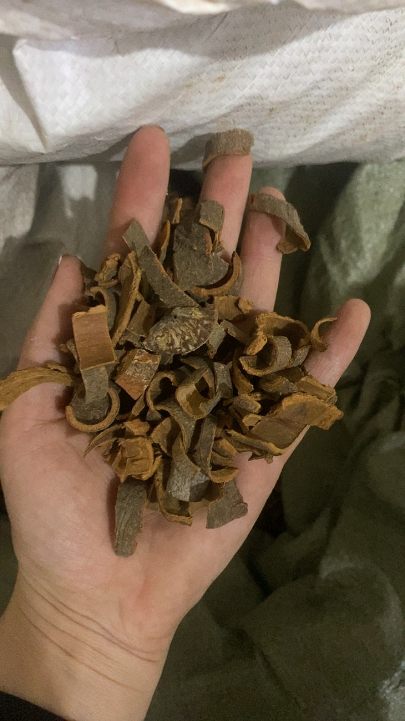 桂皮