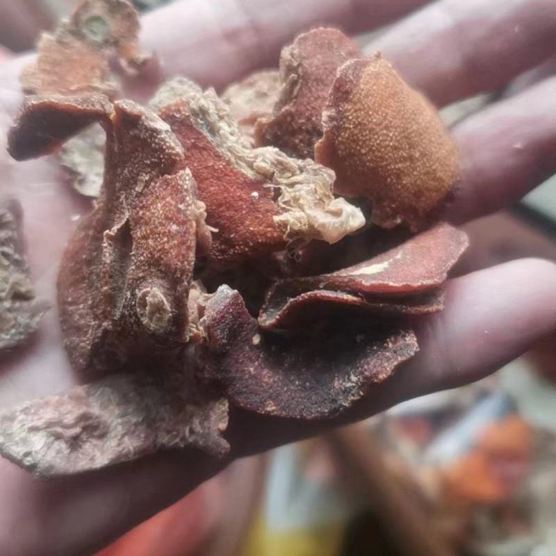 巴叶枇杷叶琵琶枇杷丝