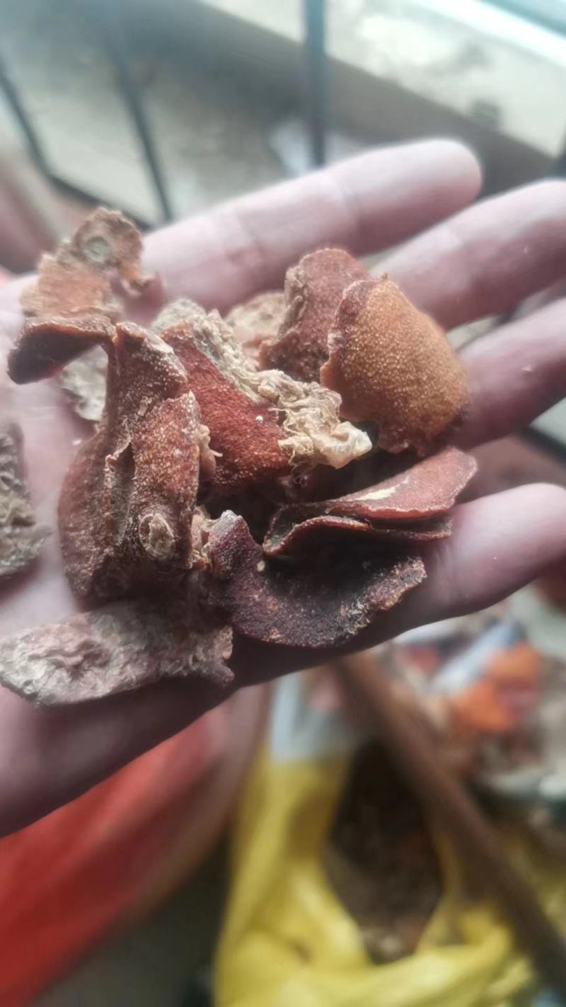 巴叶枇杷叶琵琶枇杷丝