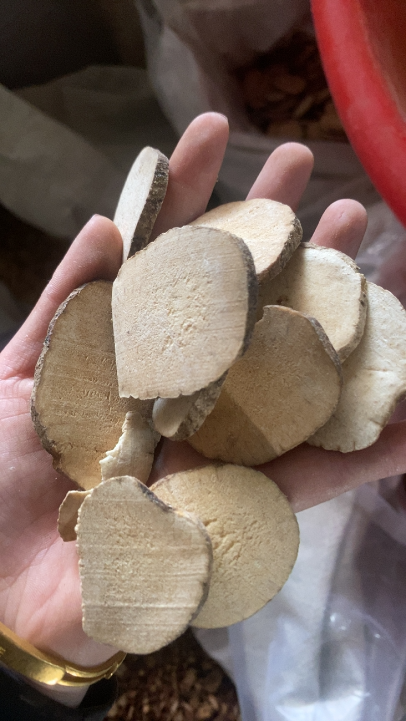 泽泻