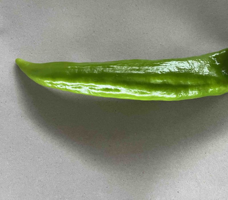 高原夏菜精品尖椒炮椒以大量上市产地直发可视频看