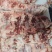牛碎肉瘦度高质量保证源头厂家直发