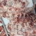 牛碎肉瘦度高质量保证源头厂家直发