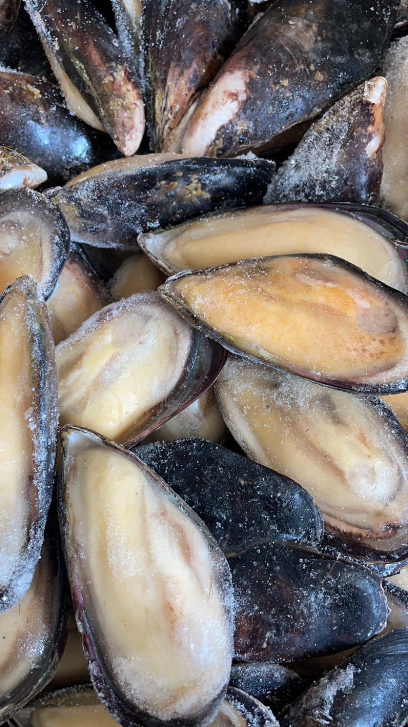 青口贝半壳青口贝半壳海虹捞汁烧烤火锅食材