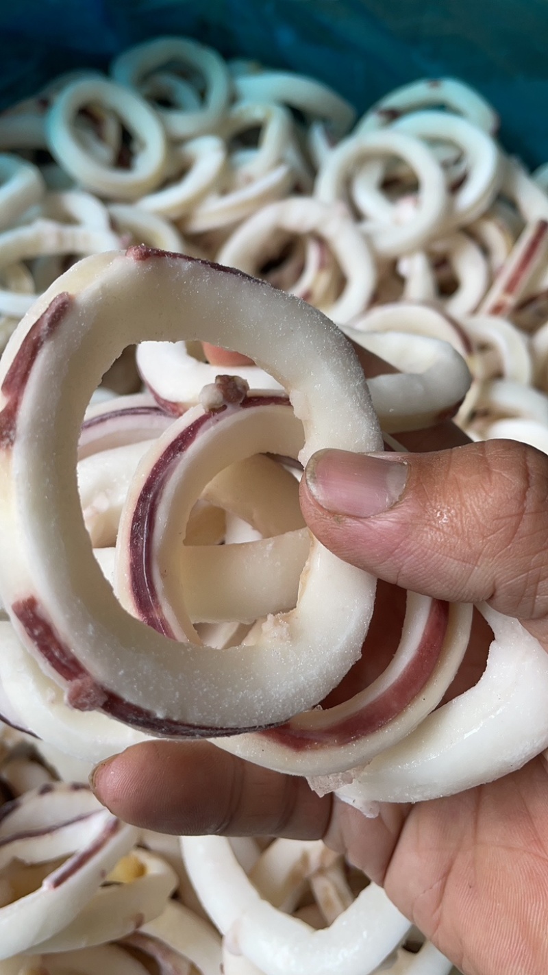 鱿鱼圈干冰鱿鱼圈鲜切冷冻鱿鱼圈烧烤火锅食材