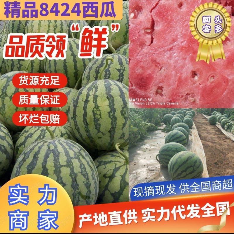 【实力推荐】开封8424西瓜头茬西瓜产地直供包熟包甜