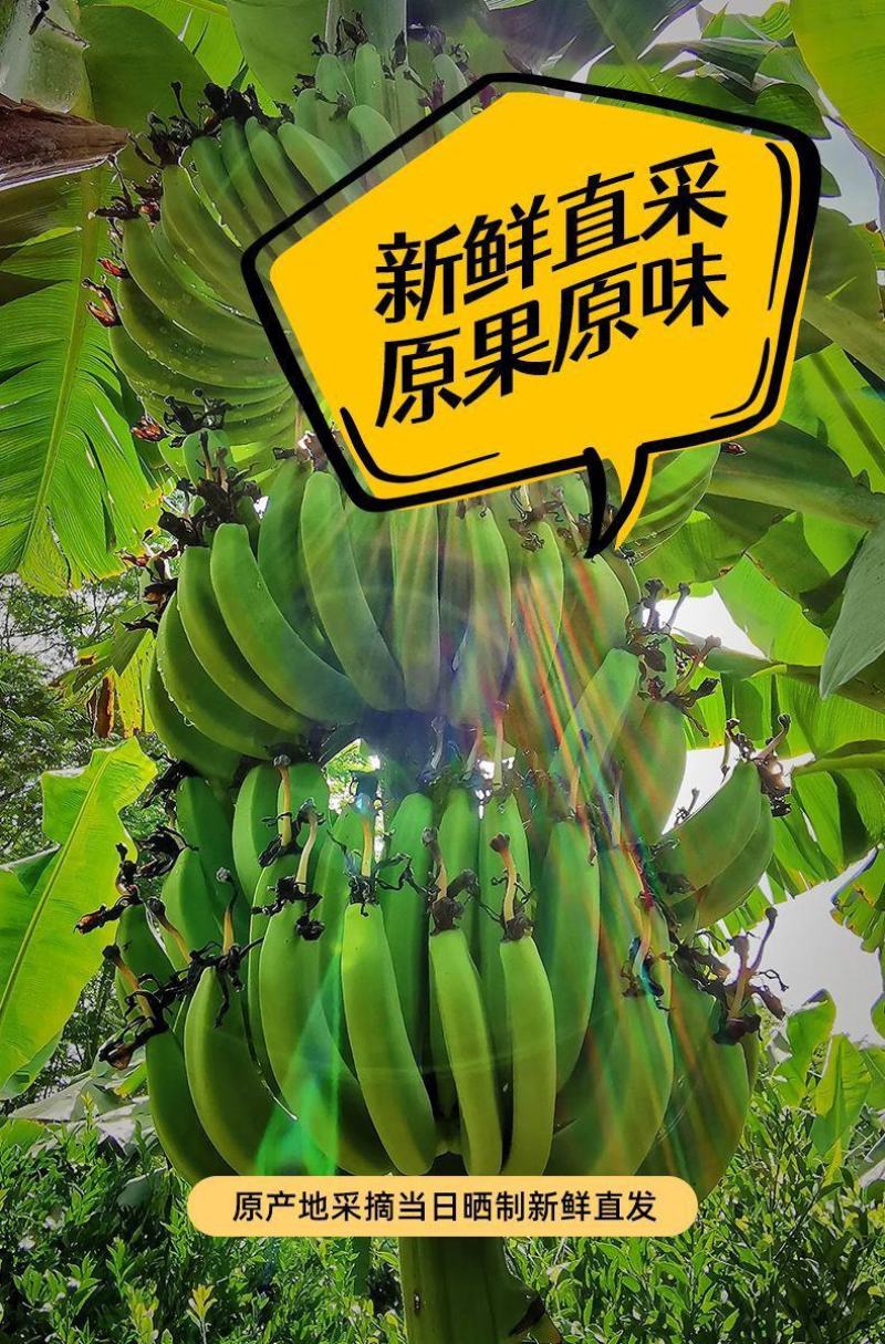云南西双版纳特产果干纯手工无添加香蕉干