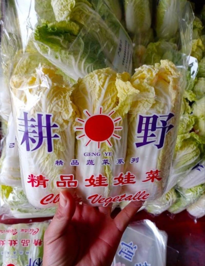 黄心娃娃菜张北娃娃菜玲珑黄娃娃菜