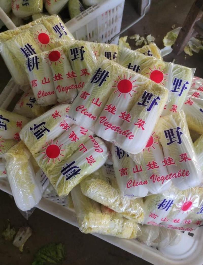 张北县娃娃菜批发