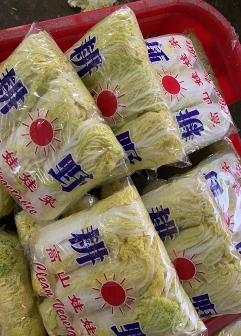张北县娃娃菜批发