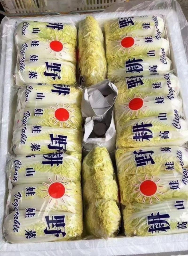 沽源娃娃菜