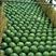 陕西产地精品甜王西瓜大量供应全国发货保障质量