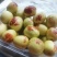 陕西冬枣基地，冬枣行情，钢架棚冬枣可包园子