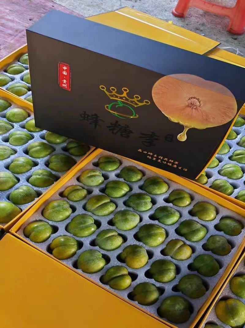 正宗原产地贵州六马蜂糖李实力代办品质保证全国发货