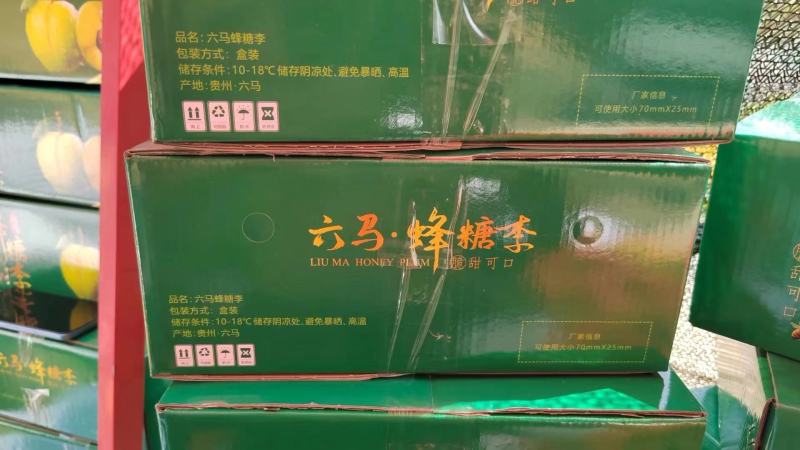 正宗原产地贵州六马蜂糖李实力代办品质保证全国发货