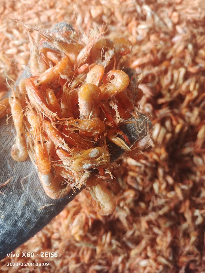 油炸虾