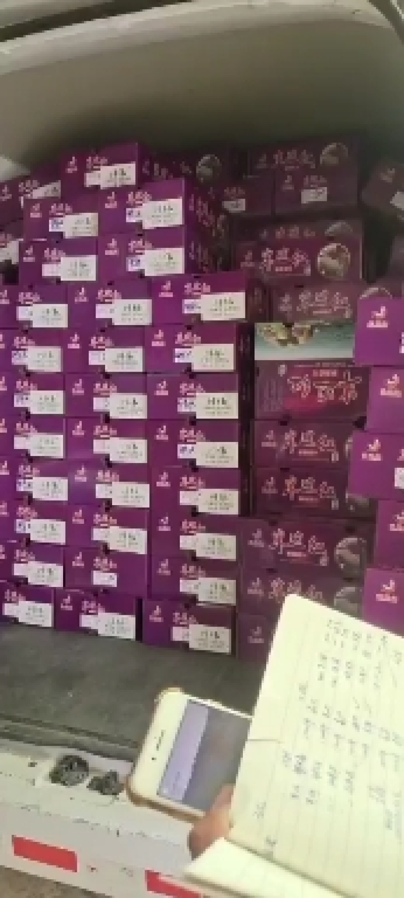 云南绥江半边红李子即将上市，现在预售中