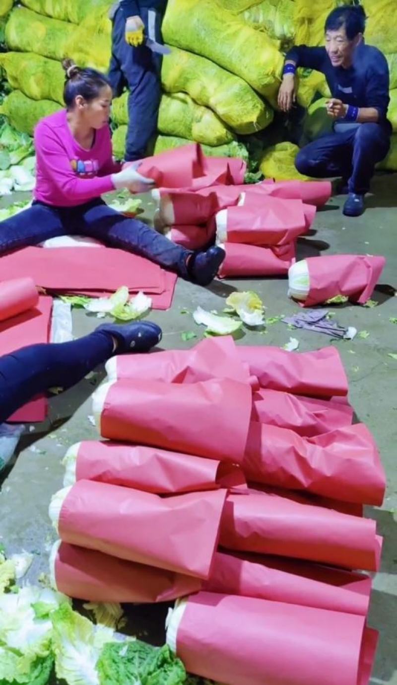 张北县玲珑黄黄心大白菜4-6斤产地直供